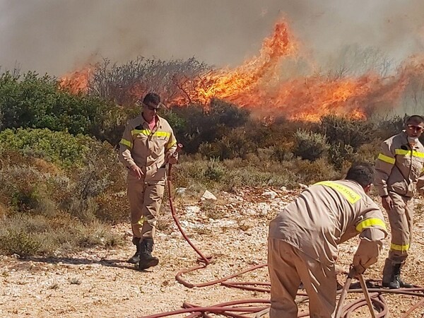 Εκτός ελέγχου η πυρκαγιά στην Ζάκυνθο - Ορατός από δορυφόρο ο καπνός