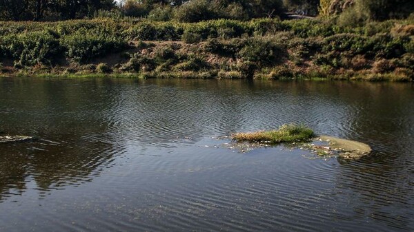 Τέλος στο μυστήριο με τα ανθρώπινα οστά στον Πηνειό - Τι έδειξε το DNA