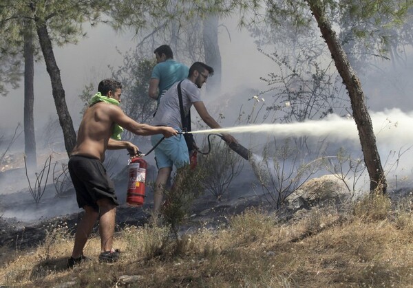 Mάχη με τις φλόγες στον Καρέα - Oι πρώτες εικόνες από τη μεγάλη πυρκαγιά