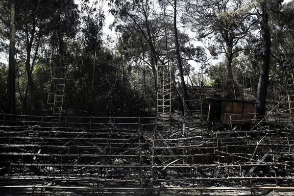 Εικόνες από την πύρινη καταστροφή στο θέατρο της Ρεματιάς