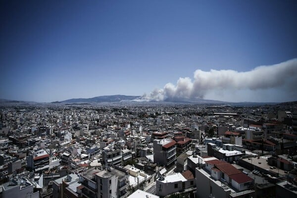 Mάχη με τις φλόγες στον Καρέα - Oι πρώτες εικόνες από τη μεγάλη πυρκαγιά