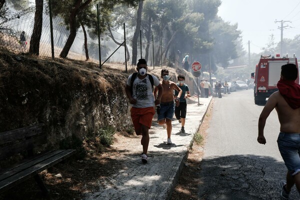 Mάχη με τις φλόγες στον Καρέα - Oι πρώτες εικόνες από τη μεγάλη πυρκαγιά