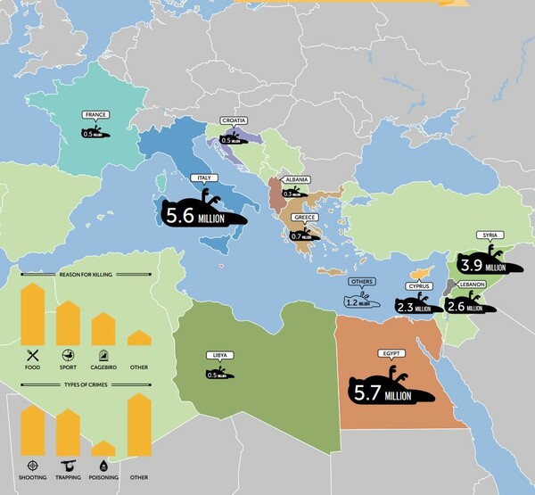 25 εκατομμύρια πουλιά θανατώνονται παράνομα στη Μεσόγειο κάθε χρόνο