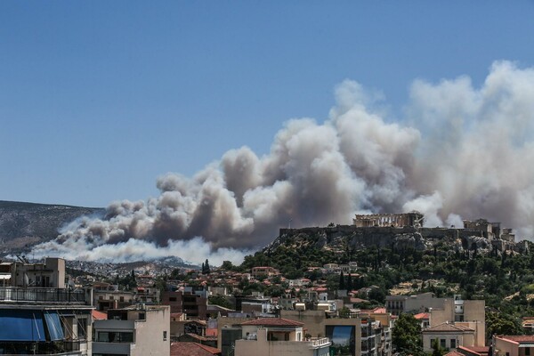 Mάχη με τις φλόγες στον Καρέα - Oι πρώτες εικόνες από τη μεγάλη πυρκαγιά