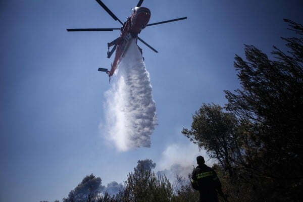 Δύο άτομα συνελήφθησαν για την πυρκαγιά στην Εύβοια