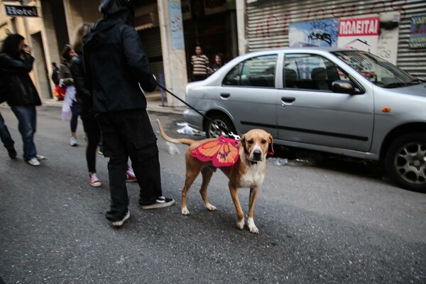 To αυθεντικό Καρναβάλι του Μεταξουργείου ήταν και φέτος το καλύτερο κυριακάτικο street party