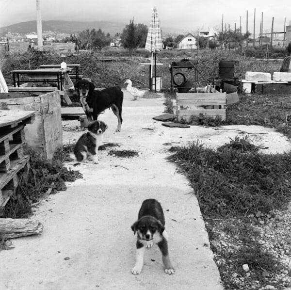 Αχαρνές, Μενίδι. Ένα αυτοσχεδιαστικό φωτορεπορτάζ από την ξεχασμένη άκρη της πόλης