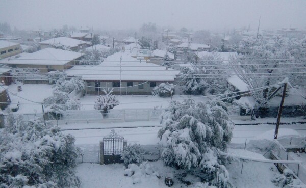 Στα λευκά όλη η Φθιώτιδα σήμερα το πρωί