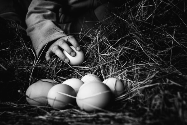 Η χαρά της παιδικής ηλικίας μακρυά από τη φρενίτιδα των high tech gadgets