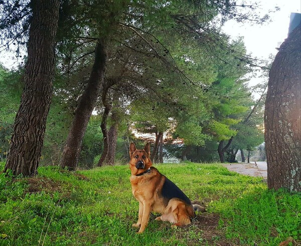 30 νέες φωτογραφίες απ' τα τέλεια ζώα των αναγνωστών μας