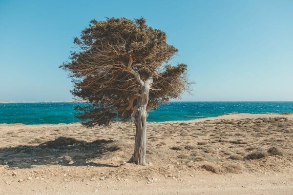 Ο Έλληνας φωτογράφος Κωνσταντίνος Σοφικίτης κατέκτησε δύο βραβεία στον διαγωνισμό 2017 Sony World Photography Awards