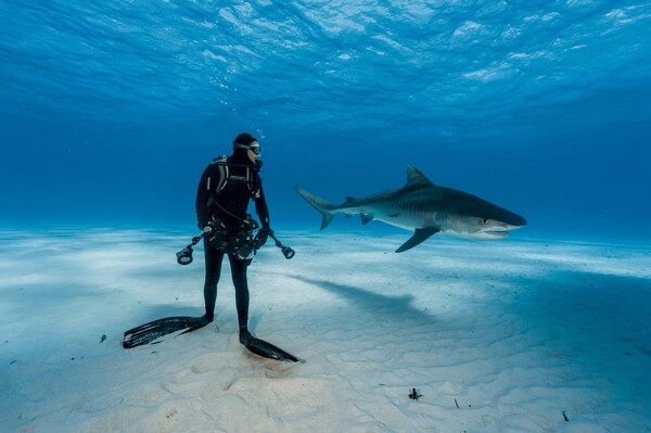 Αυτές είναι οι 50 καλύτερες φωτογραφίες του National Geographic για το 2016