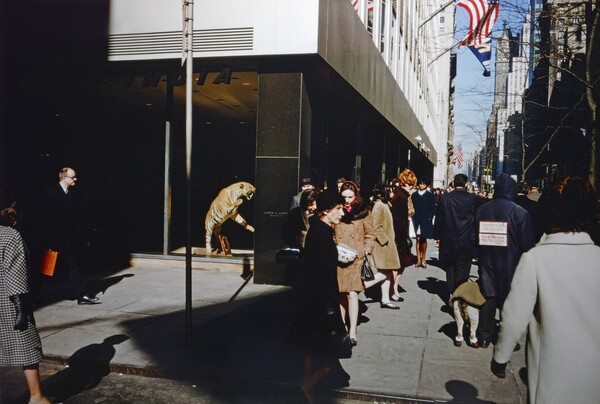 Το παλιό, τεχνικολόρ καλοκαίρι του Joel Meyerowitz