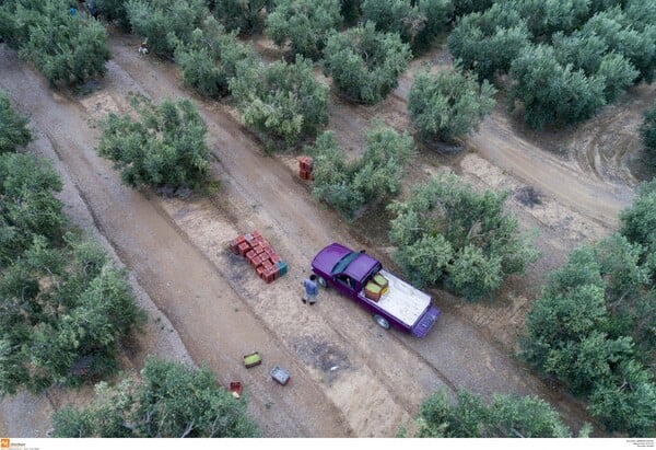 Πληρωμές 1,2 δισ. ευρώ στους αγρότες μέχρι το τέλος του έτους