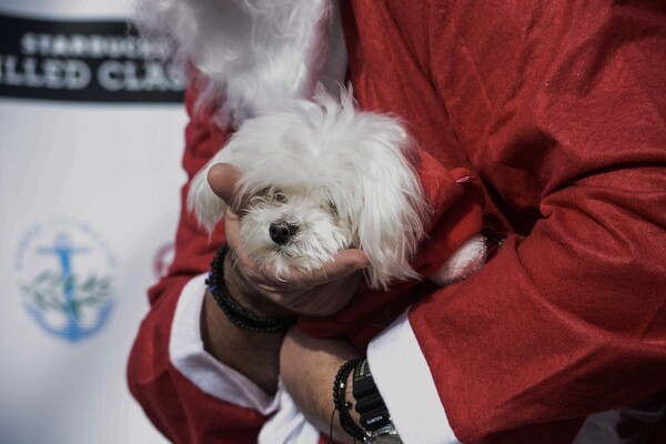 15 φωτογραφίες από το φετινό Santa Run στη Γλυφάδα