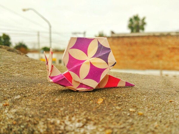 Hashtag #Origami