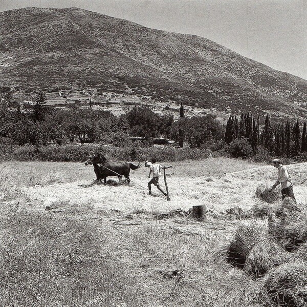 Η Ιθάκη μέσα από τα μάτια του Σπύρου Μελετζή