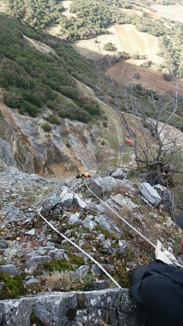 Κοζάνη: Η εντυπωσιακή διάσωση ενός σκύλου που έπεσε στον γκρεμό