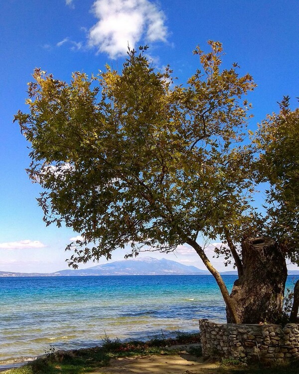 50 νέες φωτογραφίες των αναγνωστών μας, στο σημερινό INSTALIFO