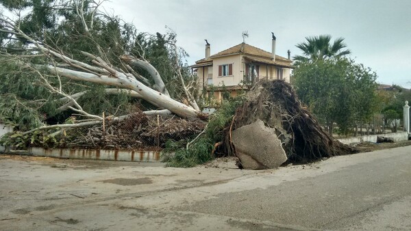 Κέρκυρα: Βομβαρδισμένο τοπίο το νησί μετά την κακοκαιρία