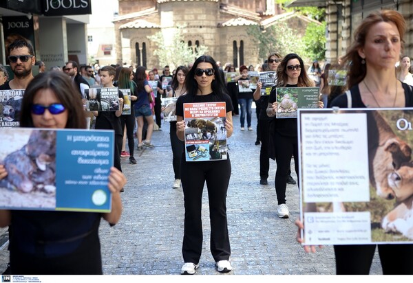 Διαμαρτυρία στο κέντρο της Αθήνας - Οι Vegan For Life για τις μητέρες του ζωικού βασιλείου