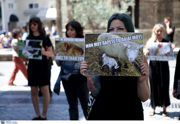 Διαμαρτυρία στο κέντρο της Αθήνας - Οι Vegan For Life για τις μητέρες του ζωικού βασιλείου