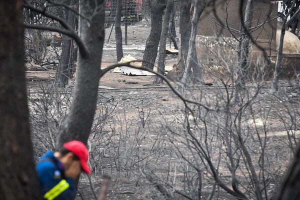 Τουλάχιστον 60 οι νεκροί από τις φονικές πυρκαγιές