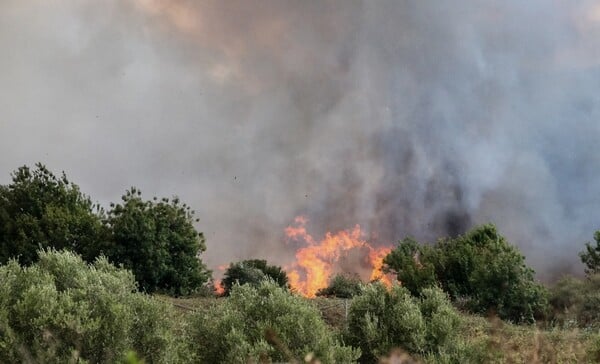 Οριοθετήθηκε η πυρκαγιά στην Εύβοια