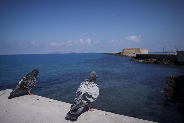 Ηράκλειο: Νεκρός ο 16χρονος που έπεσε στο ενετικό λιμάνι (upd)