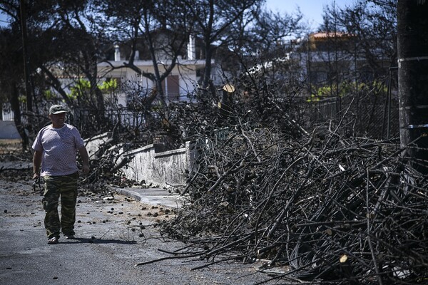 ΝΔ: Oι κυβερνητικές ευθύνες για την καταστροφή στο Μάτι δεν παραγράφονται