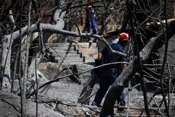 Συγκλονιστικές μαρτυρίες επιζώντων: Ο εγγονός μου ήταν έξι μηνών. Πέθανε στα χέρια της κόρης μου