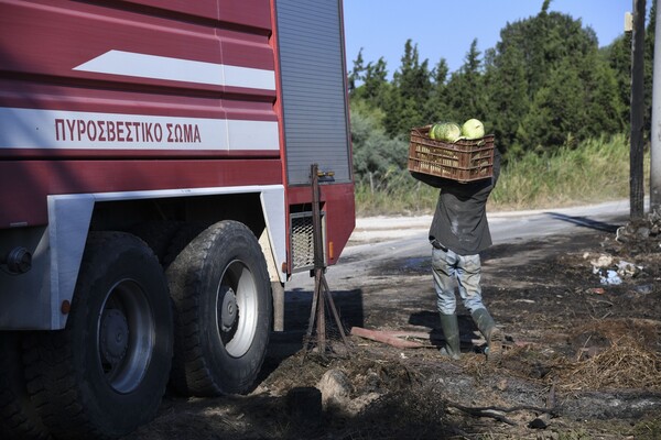 Πολύ υψηλός κίνδυνος πυρκαγιάς σήμερα