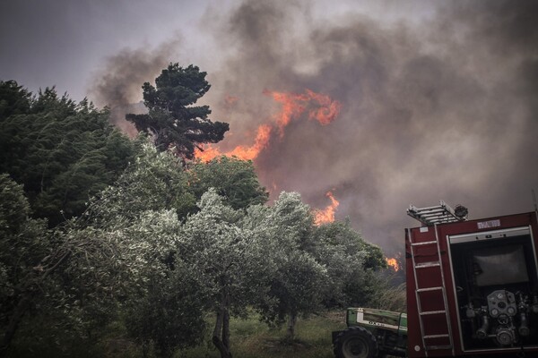 Μεγάλη πυρκαγιά στο Λασίθι