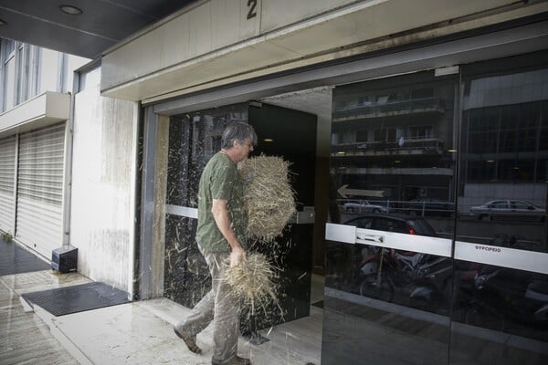 Ακτιβιστές πέταξαν σανό στα γραφεία των ΑΝΕΛ - ΦΩΤΟΓΡΑΦΙΕΣ