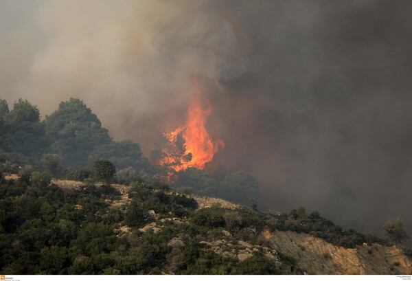 Χαλκιδική: Ολονύκτια μάχη με τις φλόγες στη Σιθωνία