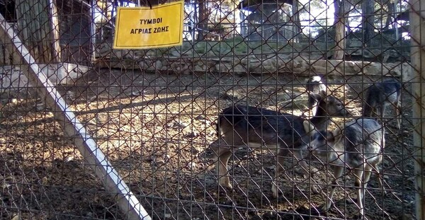 Διαμαρτυρία αναρχικών στον ζωολογικό κήπο Θεσσαλονίκης - Κρέμασαν πανό στα κλουβιά των ζώων