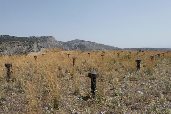 The Provinces. 9 φωτογράφοι (στο ΤΑΦ) εξερευνούν την επαρχία.