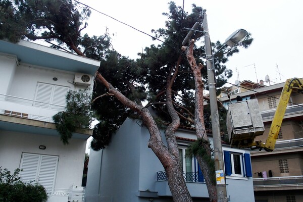 Δέντρο έπεσε σε σπίτι στο Μαρούσι