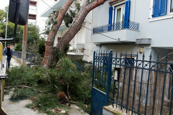 Δέντρο έπεσε σε σπίτι στο Μαρούσι