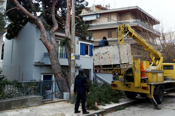 Δέντρο έπεσε σε σπίτι στο Μαρούσι