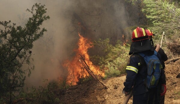 Χαλκιδική: Φωτιά σε δασική έκταση - Μεγάλη κινητοποίηση της πυροσβεστικής