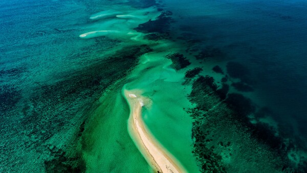 Madagascar trip, Κωνσταντίνος Σοφικίτης