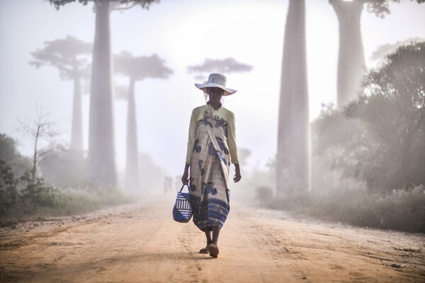 Madagascar trip, Κωνσταντίνος Σοφικίτης