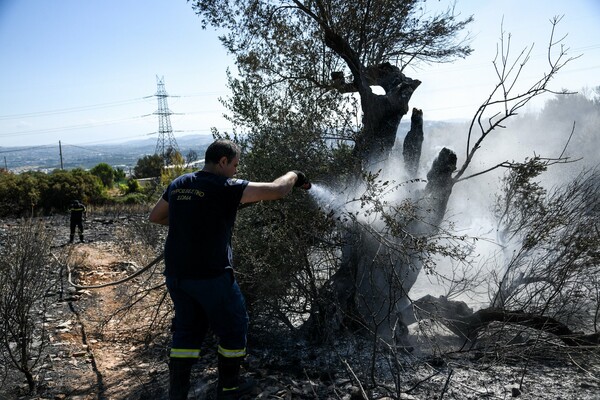 Φωτιά στον Υμηττό: Καταγγελίες για εκρήξεις