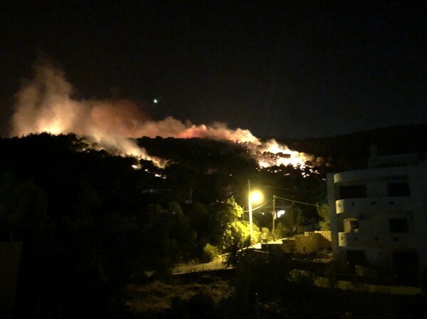 Φωτιά στη Νέα Μάκρη Αττικής - Μεγάλη κινητοποίηση της πυροσβεστικής