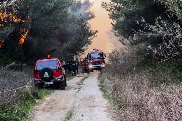 Αυλώνας: Ένας νεκρός μετά από πυρκαγιά