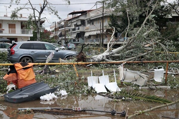 Χαλκιδική: H καταιγίδα ισοπέδωσε τα πάντα - Εικόνες από ψηλά αποκαλύπτουν την καταστροφή