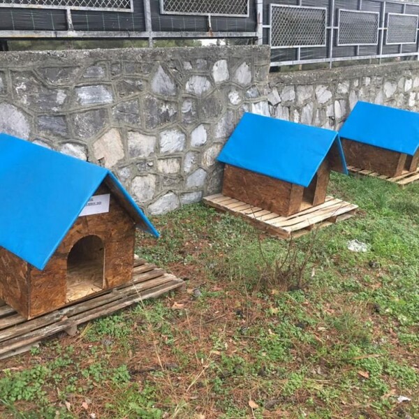Όλυμπος: Ο δήμος έφτιαξε ξύλινα σπιτάκια για να προστατευτούν τα αδέσποτα από το κρύο