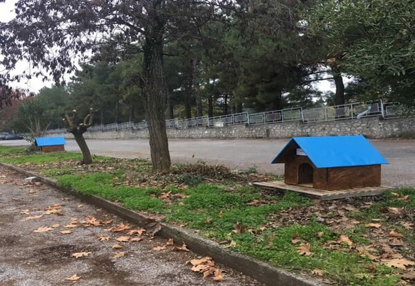 Όλυμπος: Ο δήμος έφτιαξε ξύλινα σπιτάκια για να προστατευτούν τα αδέσποτα από το κρύο