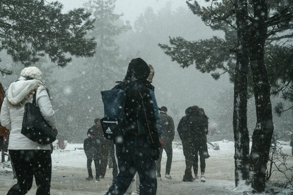 Το έστρωσε για τα καλά στην Πάρνηθα: Βόλτα και χιονοπόλεμος στο βουνό